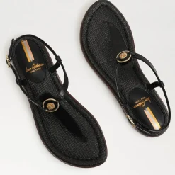 Sam Edelman Sandal- Gigi Black Signet Sandal